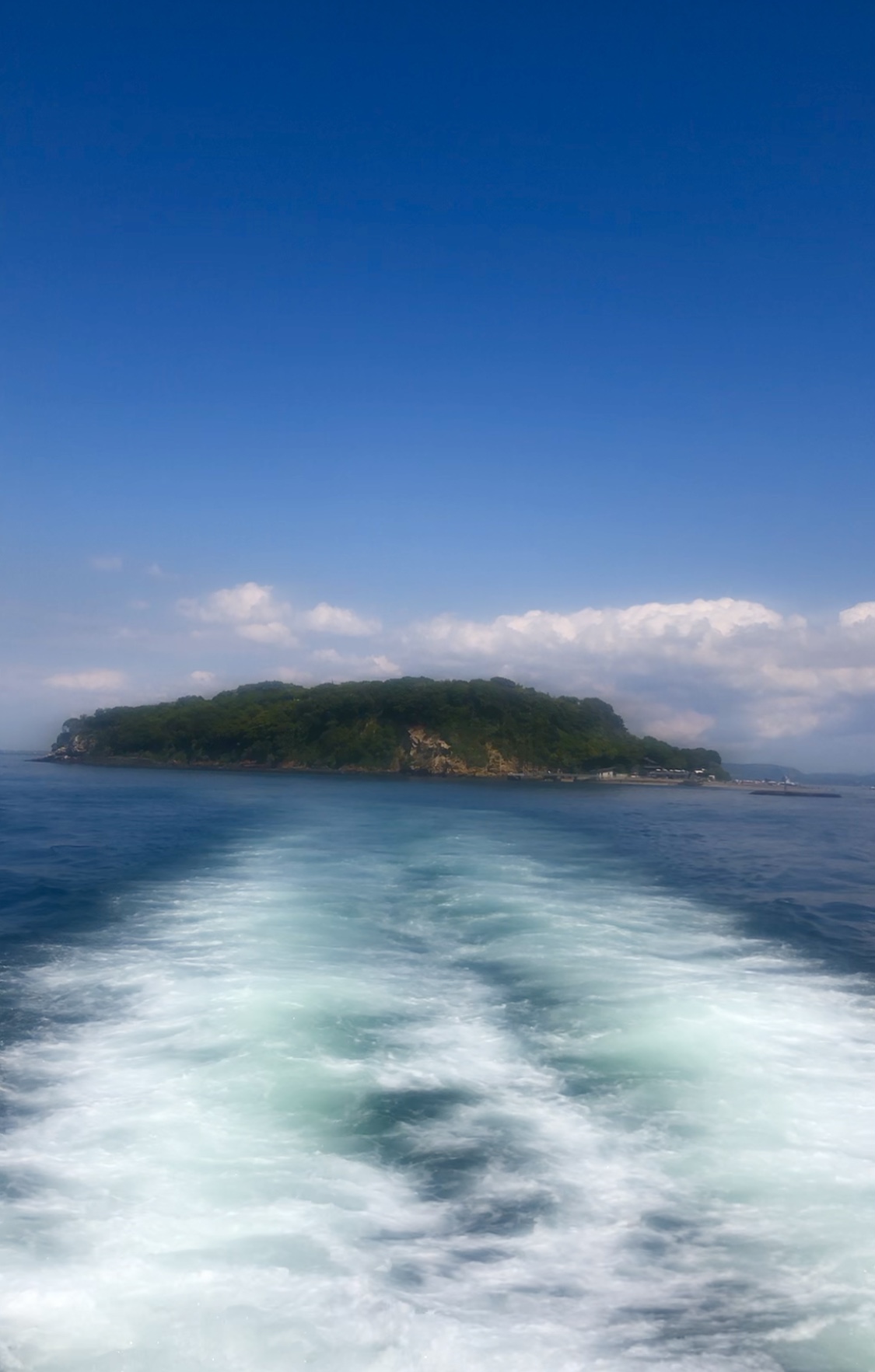 猿島の全景写真